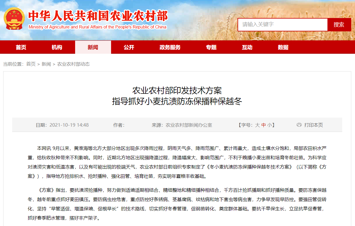農(nóng)業(yè)農(nóng)村部印發(fā)技術方案 指導抓好小麥抗?jié)n防凍保播種保越冬