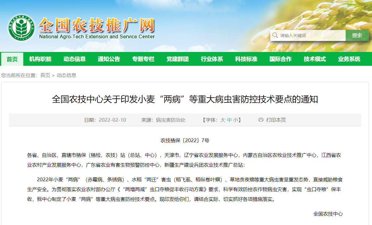 全國農(nóng)技中心關(guān)于印發(fā)小麥“兩病”等重大病蟲害防控技術(shù)要點(diǎn)的通知