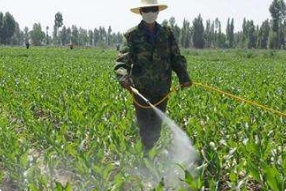 化學(xué)除草應(yīng)注意的問題