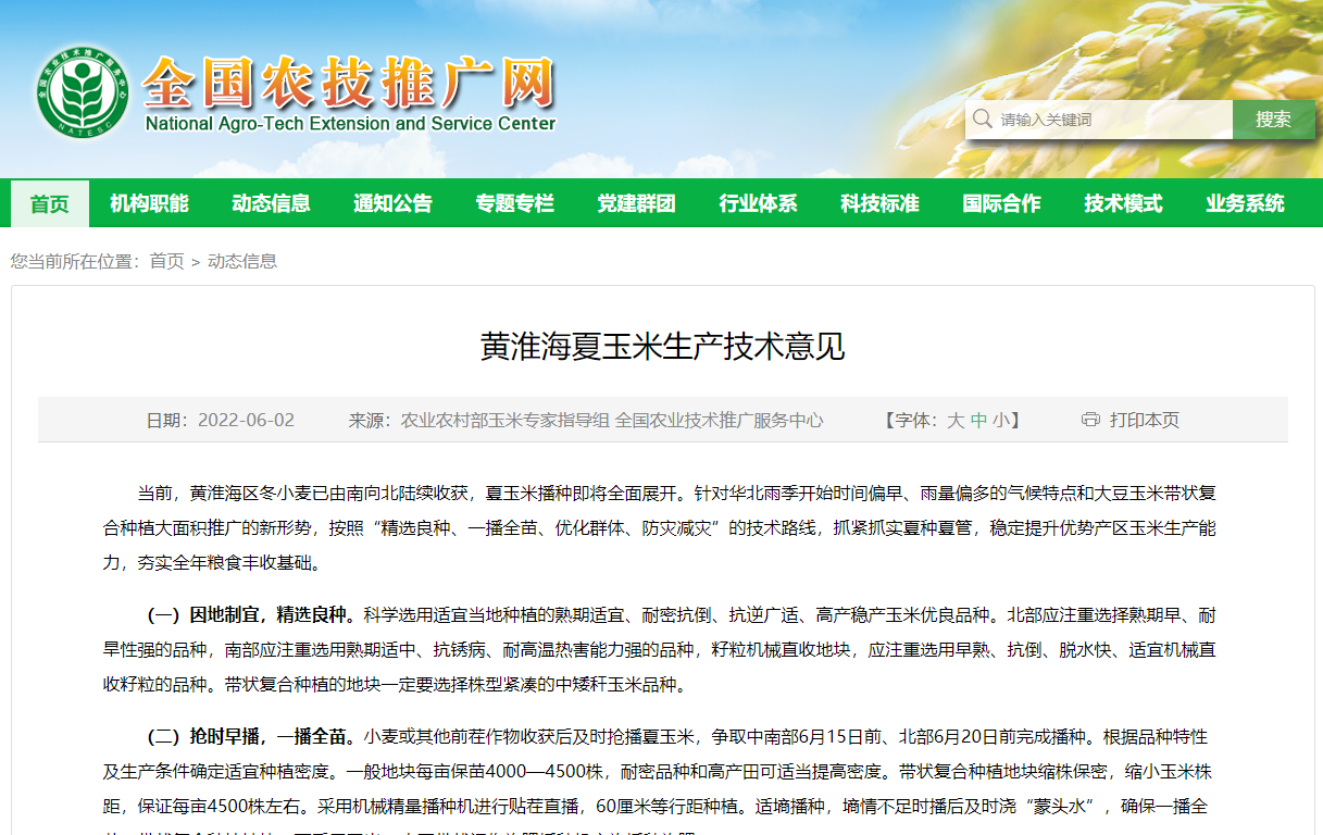 黃淮海夏玉米生產(chǎn)技術(shù)意見