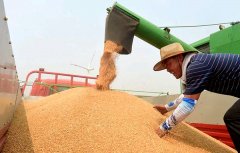 關(guān)系14億人的飯碗，定了這些大事！