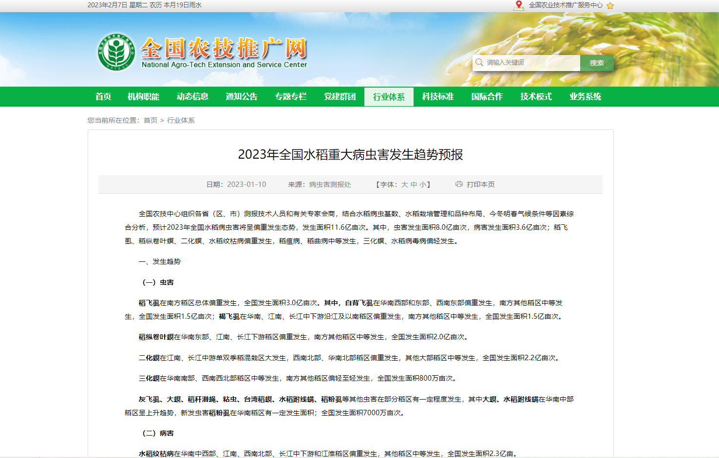 2023年全國水稻重大病蟲害發(fā)生趨勢預報