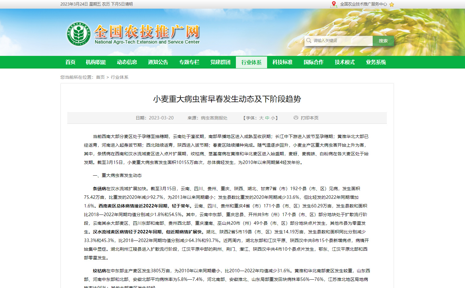 小麥重大病蟲(chóng)害早春發(fā)生動(dòng)態(tài)及下階段趨勢(shì)