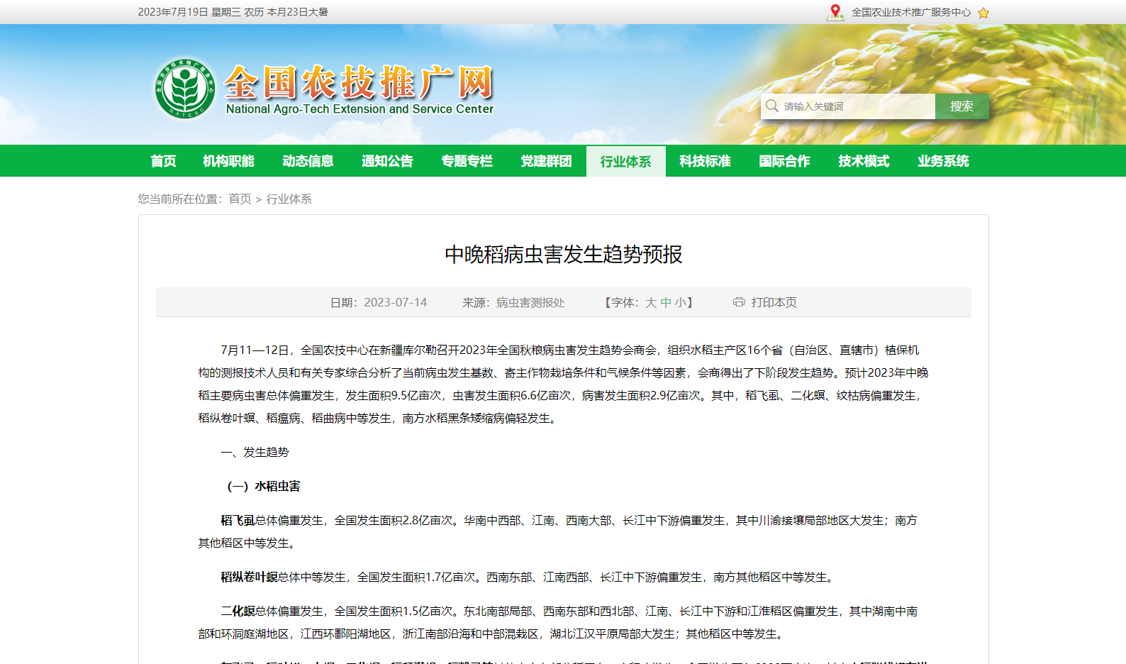 中晚稻病蟲害發(fā)生趨勢預報