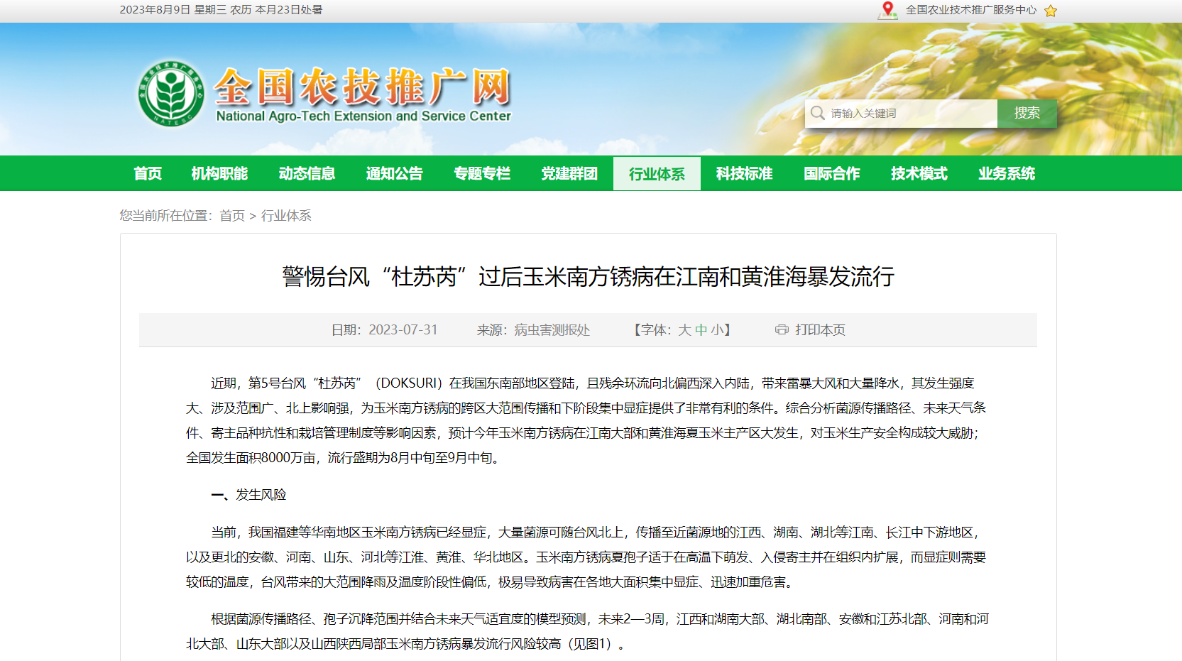 警惕臺風“杜蘇芮”過后玉米南方銹病在江南和黃淮海暴發(fā)流行